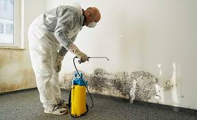 Best Residential Mold Inspection & Testing in Lansing, IL