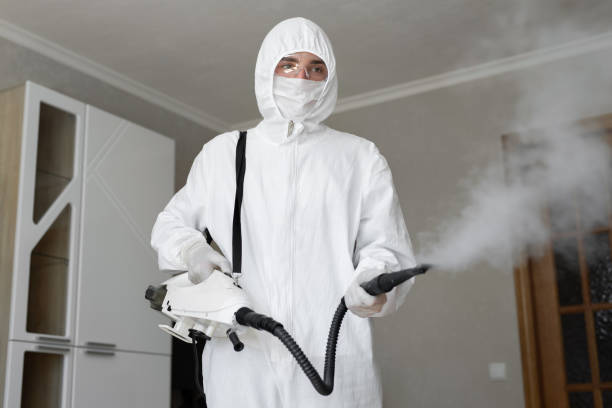 Best Forensic Mold Investigation in Lansing, IL